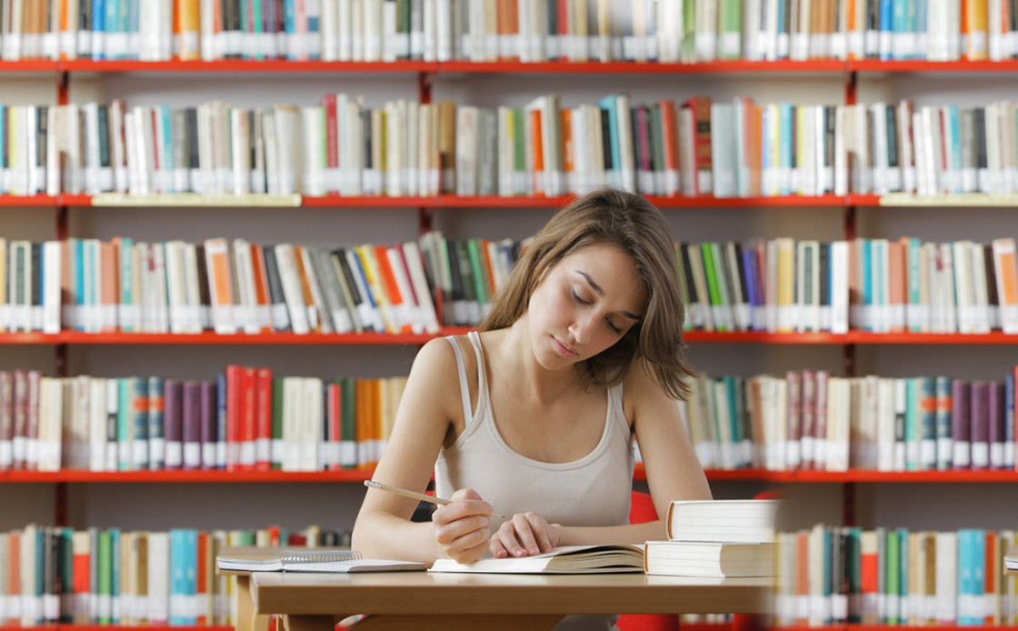 Assignment help usa